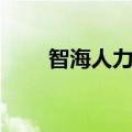 智海人力资源怎么样（智海人才网）