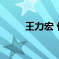 王力宏 代言（王力宏代言的手机）
