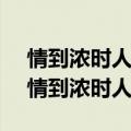 情到浓时人自醉 爱到深处心不悔是什么歌（情到浓时人自醉）