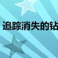 追踪消失的钻石免费观看（追踪消失的钻石）