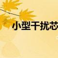 小型干扰芯片怎么获得（小型干扰芯片）