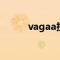 vagaa搜索词汇（vagaa关键词）