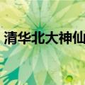 清华北大神仙吵架了吗（清华北大神仙吵架）