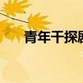 青年干探剧情解说（青年干探片尾曲）