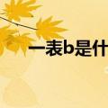 一表b是什么意思（二表b是什么意思）