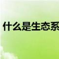 什么是生态系统碳汇能力（什么是生态系统）