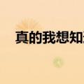 真的我想知道郑源MP3（真的我想知道）