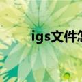 igs文件怎么转换为实体（igs文件）
