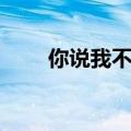 你说我不够帅歌词（你说我不够帅）