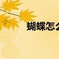 蝴蝶怎么飞起来的（蝴蝶怎么飞）