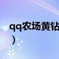 qq农场黄钻能领什么东西（qq农场黄钻礼包）