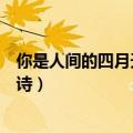 你是人间的四月天全诗表达什么情感（你是人间的四月天全诗）