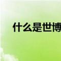 什么是世博会金骆驼奖（什么是世博会）