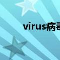 virus病毒有什么危害（virus病毒）