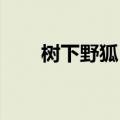 树下野狐 新书（树下野狐最新作品）