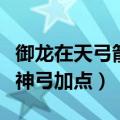 御龙在天弓箭技能加点和属性加点（御龙在天神弓加点）