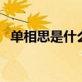 单相思是什么意思啊（单相思是什么意思）