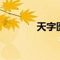 天字医号皇太后（天字医号）
