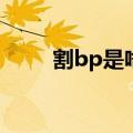 割bp是啥意思（割BP是什么意思）