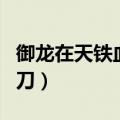 御龙在天铁血霸刀属性加点（御龙在天铁血霸刀）