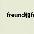 freund和freunde（freunde什么意思）