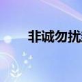 非诚勿扰封峰马诺（非诚勿扰 封峰）