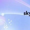 skydota2（sky dota）