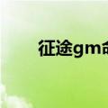 征途gm命令怎么输（征途gm命令）