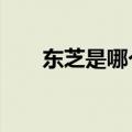 东芝是哪个国家的品牌（东芝 tg01）