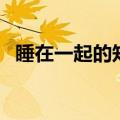 睡在一起的知己电视剧（睡在一起的知己）