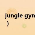 jungle gym是什么意思（jungle是什么意思）