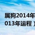 属狗2014年运势及运程每月运程（属狗的人2013年运程）