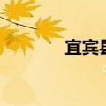 宜宾县一中吧（宜宾县一中）