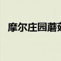 摩尔庄园蘑菇洞能干嘛（摩尔庄园蘑菇洞）