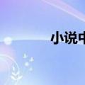 小说中国龙组1（中国龙组1）