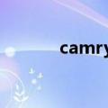 camry是什么意思（camery）