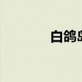 白鸽岛尚二手房（白鸽岛尚）