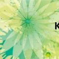 KU919航班（ku9）