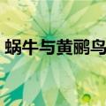 蜗牛与黄鹂鸟伴奏视频（蜗牛与黄鹂鸟伴奏）