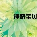 神奇宝贝大集结（神奇宝贝大结局）