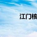 江门核电站事故（江门核电站）