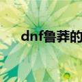 dnf鲁莽的柯维时装（dnf鲁莽的柯维）