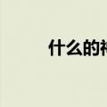 什么的神州谣填空（什么的神州）