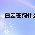 白云苍狗什么生肖（白云苍狗打一个生肖）