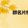 群名片格式怎么改（群名片格式）