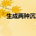 生成两种沉淀的复分解反应的离子方程式