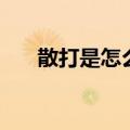 散打是怎么起来的（散打觉醒叫什么）
