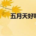 五月天好听的歌曲（五月天好听的歌）