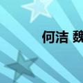何洁 魏晨（魏晨何洁让梦冬眠）