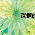 深情的伴奏（深情相拥 伴奏）